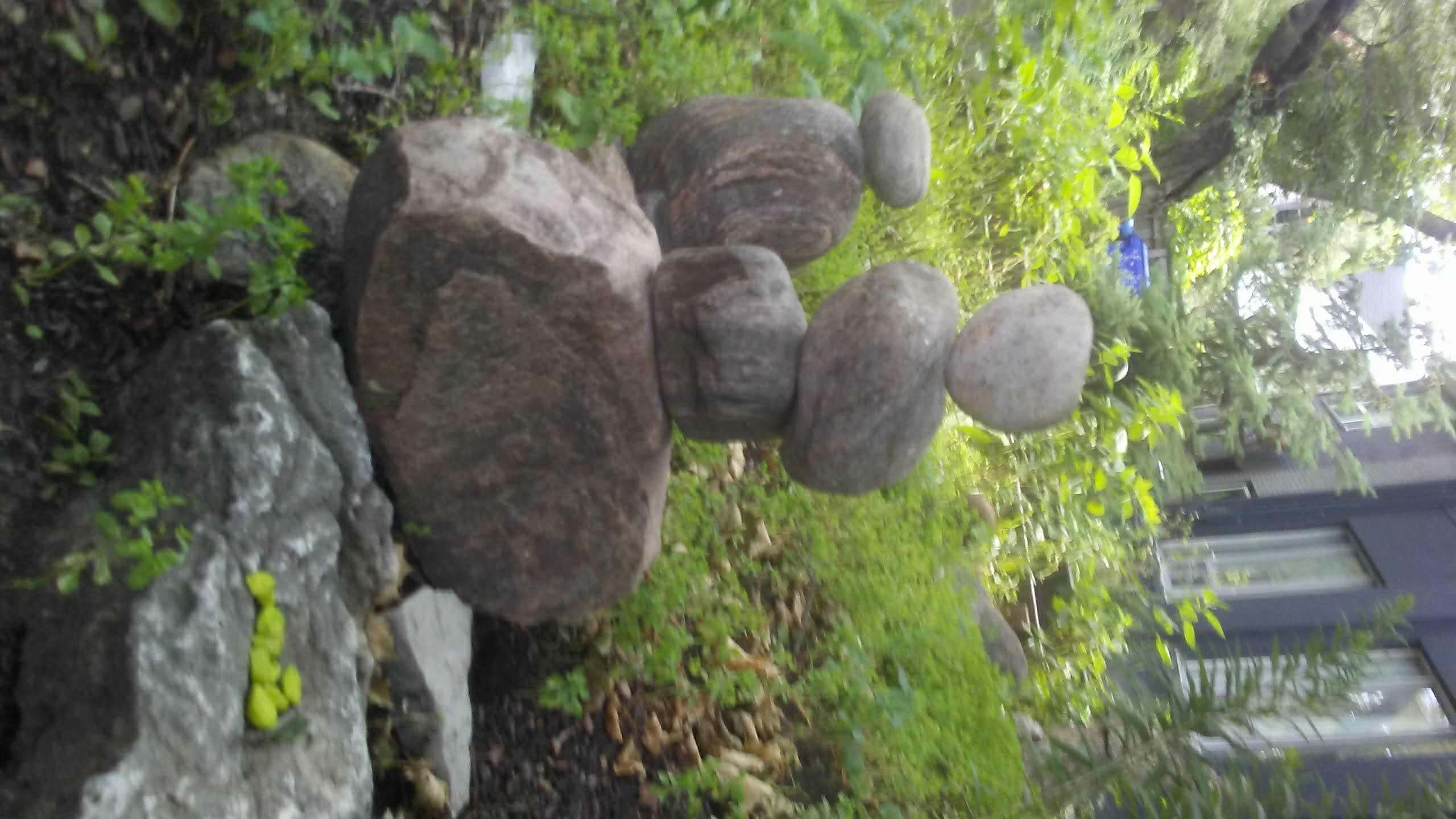 20180727_150358